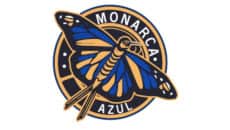 Monarca Azul Rentals